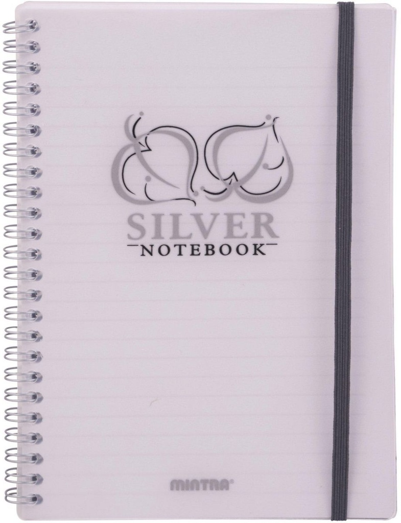 Golden & Silver A6 Spiral Notebook - 80 Sheets - Silver