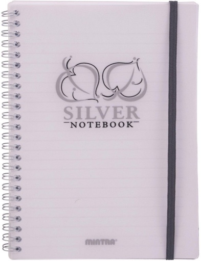 [NB-Mintr-A6-Sil] Golden & Silver A6 Spiral Notebook - 80 Sheets - Silver